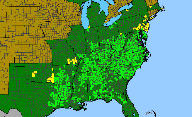 The range of Tipularia discolor